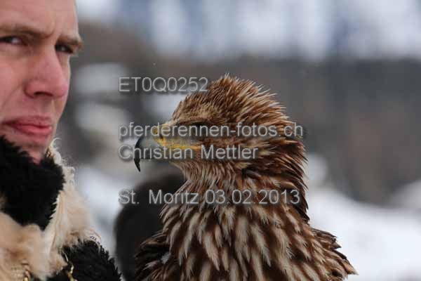 ET0Q0252 prot